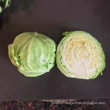 Chinese factory supply fresh vegetables fresh round cabbage Chinese cabbage price for sale